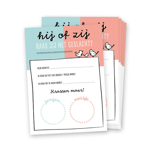 Kraskaarten opgestapeld. Ontwerp is blauw en roze met vrolijke vogeltjes en geschreven lettertype.