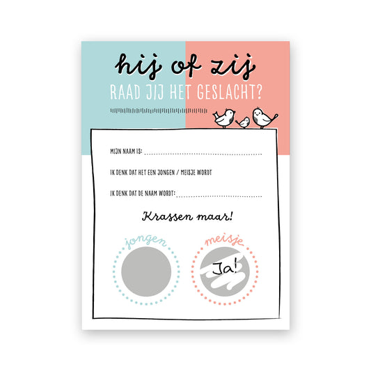 Hij of zij kraskaarten voor genderreveal party. Raad jij het geslacht? Met krasstickers en een aantal vragen om in te vullen. 