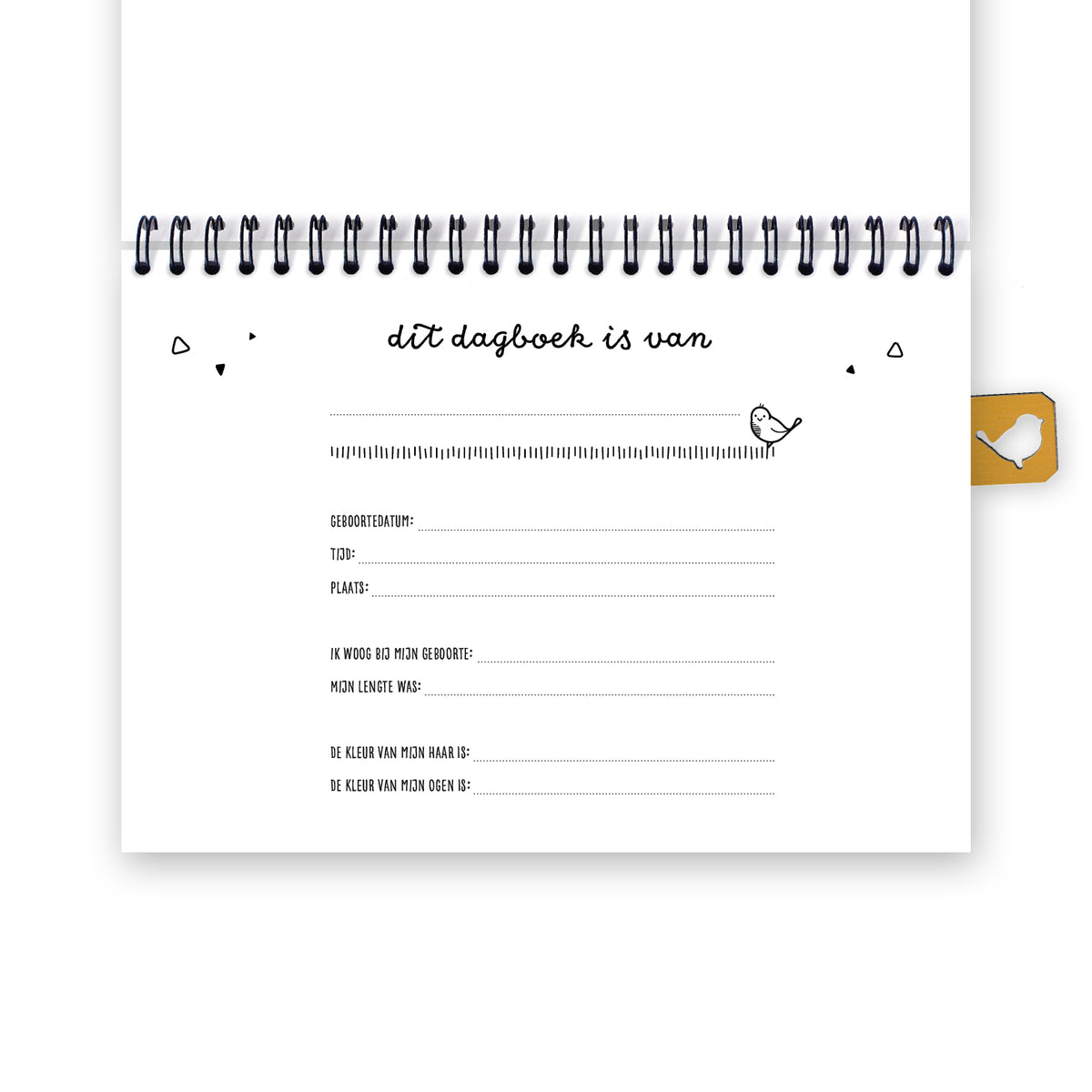 Vooraanzicht eerste pagina van mijn eerste dagboek, met als titel: Dit dagboek is van. Meerdere vragen die ingevuld kunnen worden. 