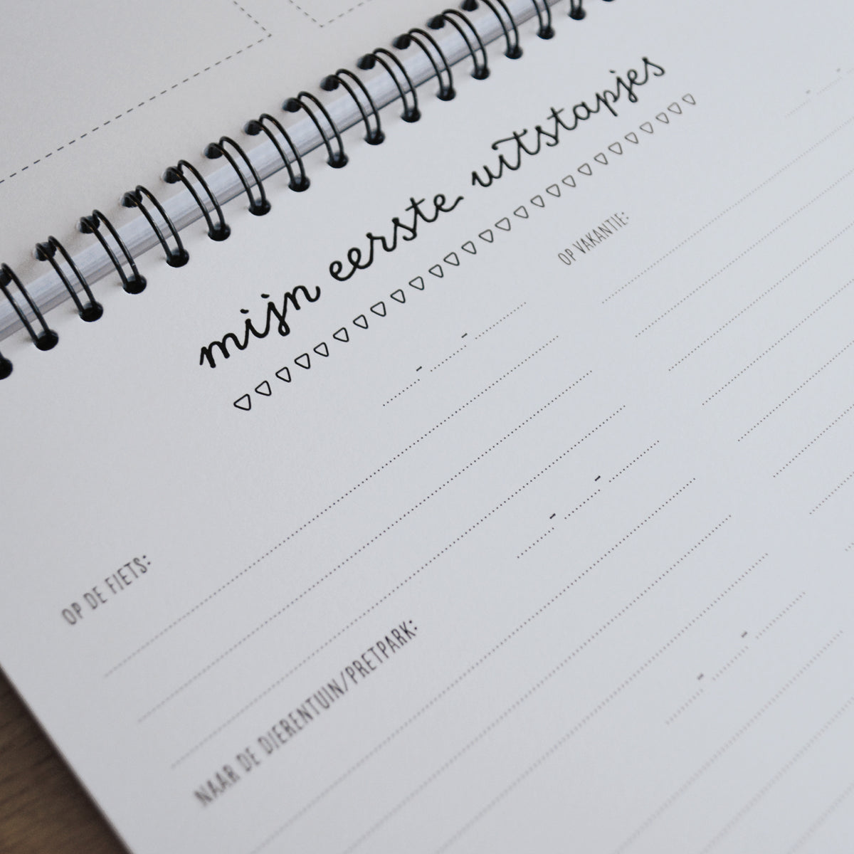 Close-up van pagina met titel Mijn eerste uitstapjes. Ruimte om datum in te vullen met extra schrijfruimte om te vertellen over eerste keer op de fiets, naar dierentuin, op vakantie etc. 