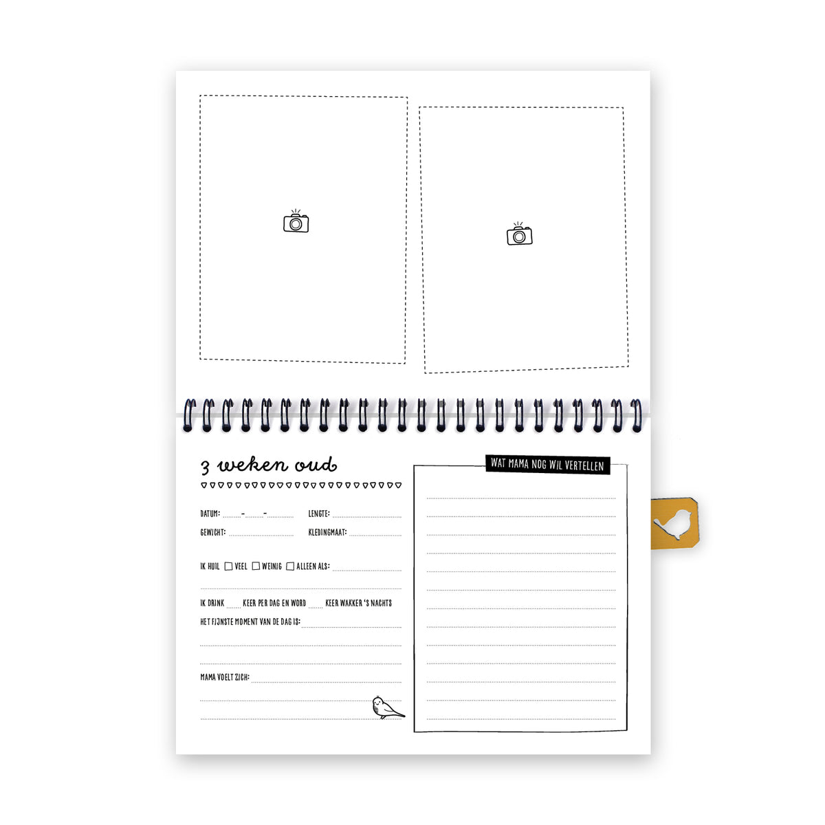 Opengeslagen boek met de bijbehorende vragen welke passen bij 3 weken oud. Ook weer ruimte voor het inplakken van foto's. 