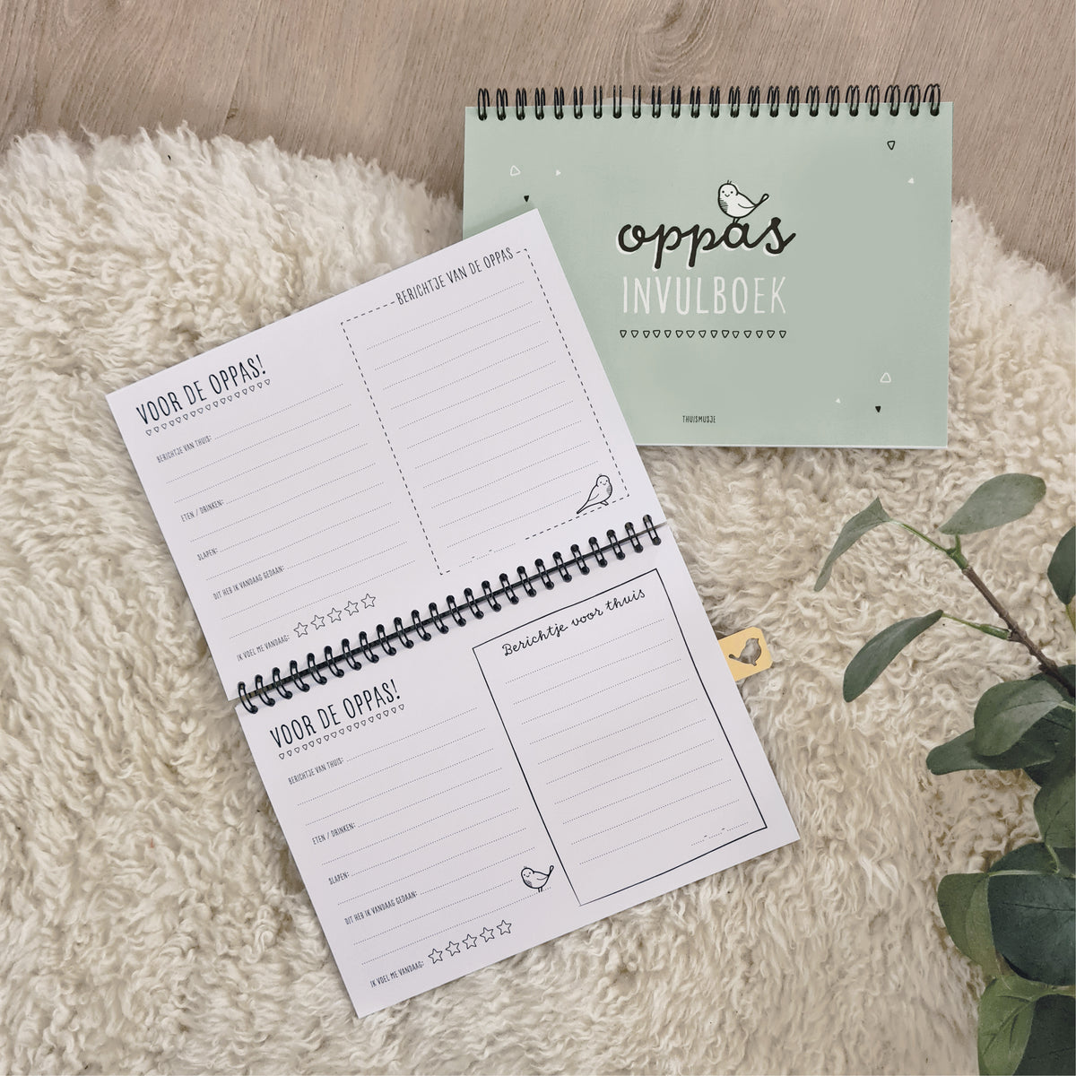 Sfeerbeeld groen oppasboekje op schapenkleed met opengeslagen invulboek erbij. invulbare pagina's te zien voor de oppas. 